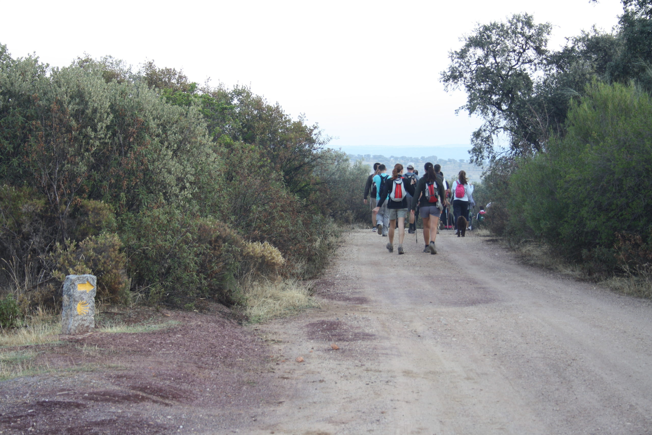 Villaharta-Alcaracejos